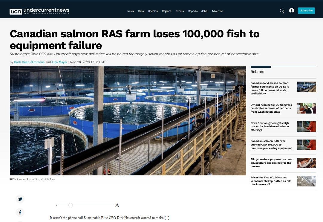 Sustainable Blue #13