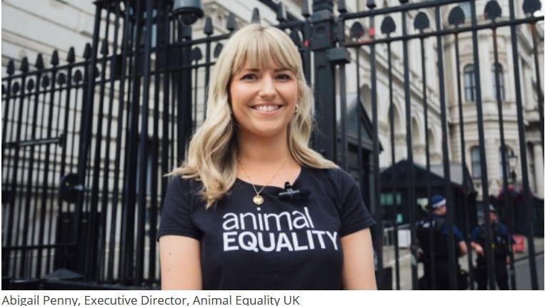 Abigail Penny Abigail Penny