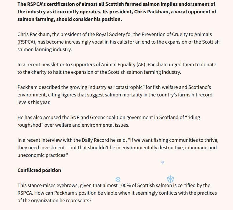 Packham in Salmon Business 11 Dec 2023 #2