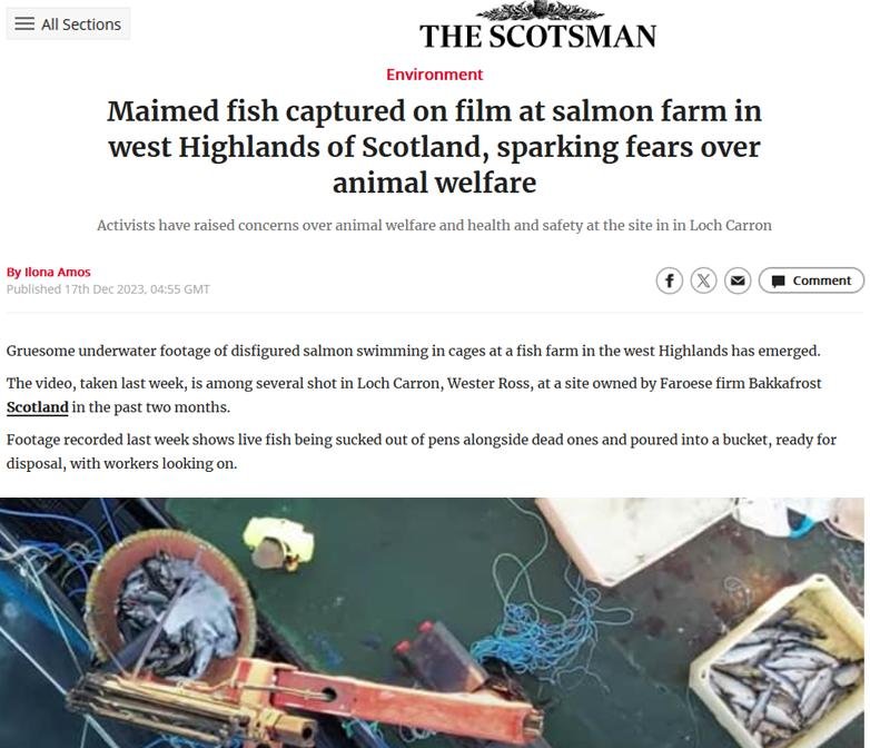 Scotland On Sunday 17 Dec 2023 #1