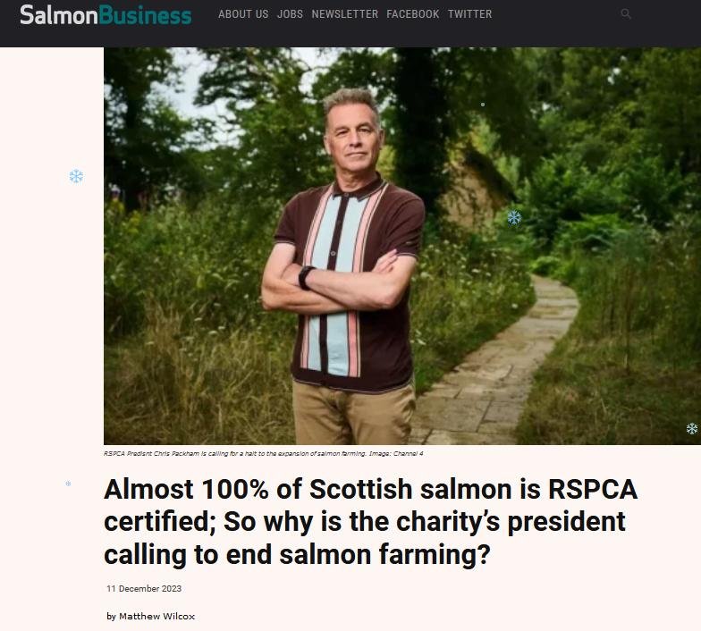 Packham in Salmon Business 11 Dec 2023 #1