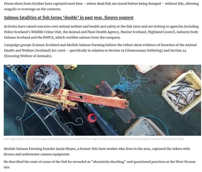 Scotland On Sunday 17 Dec 2023 #2