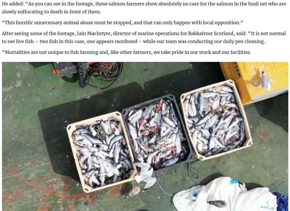 Scotland On Sunday 17 Dec 2023 #4