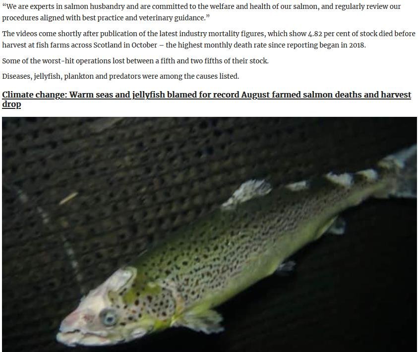 Scotland On Sunday 17 Dec 2023 #5