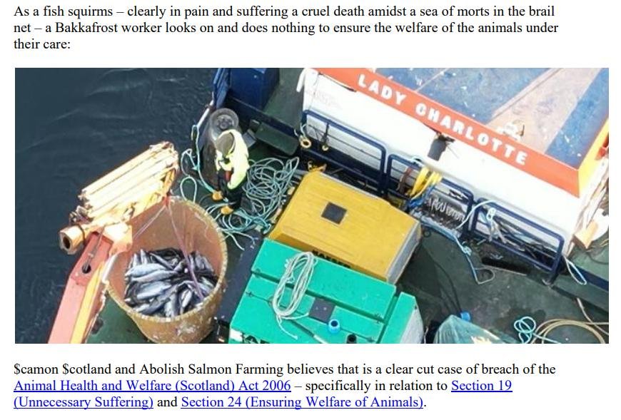 Complaint Dec 2023 #4