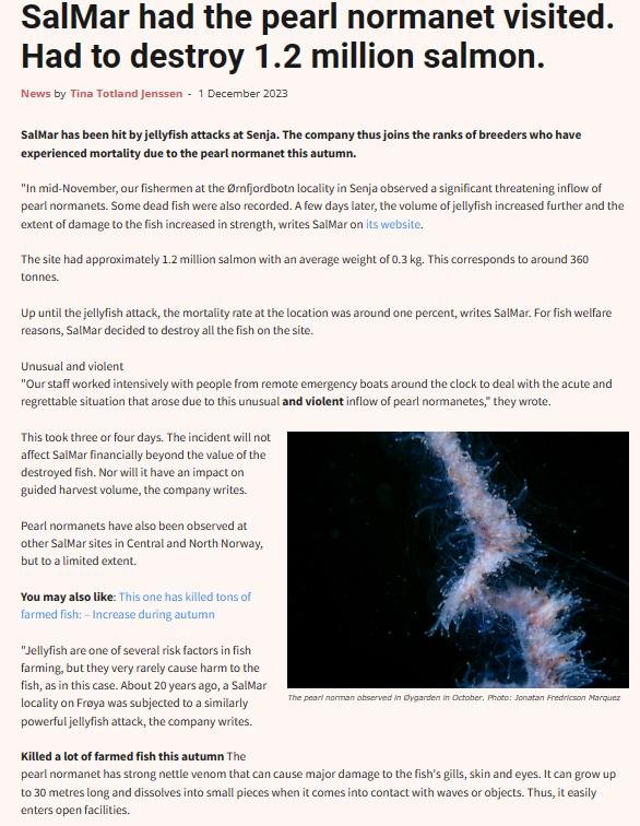 Norway blog #17 Norway blog #17