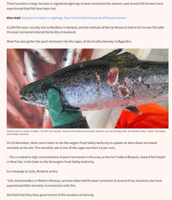 Norway blog #18 Norway blog #18