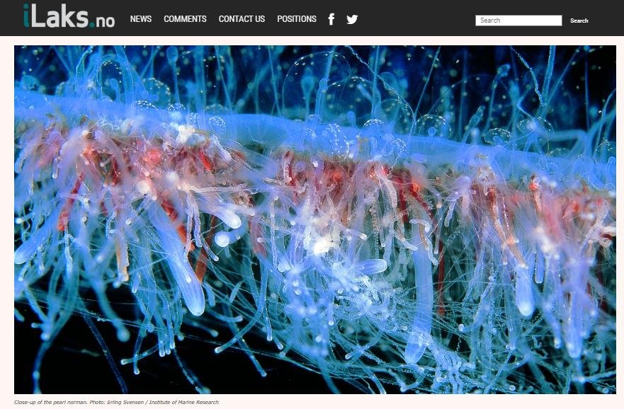 Norway blog #2 Norway blog #2