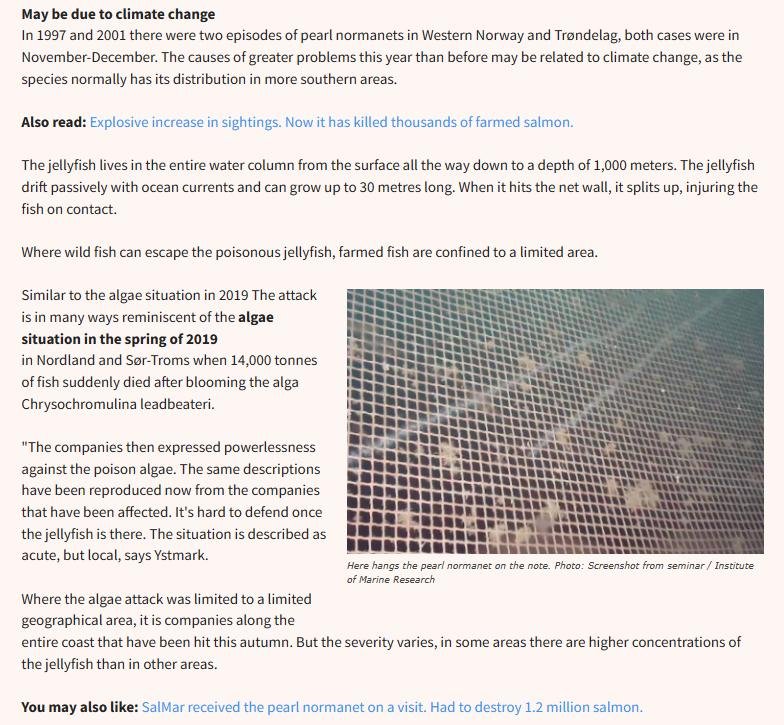 Norway blog #10 Norway blog #10