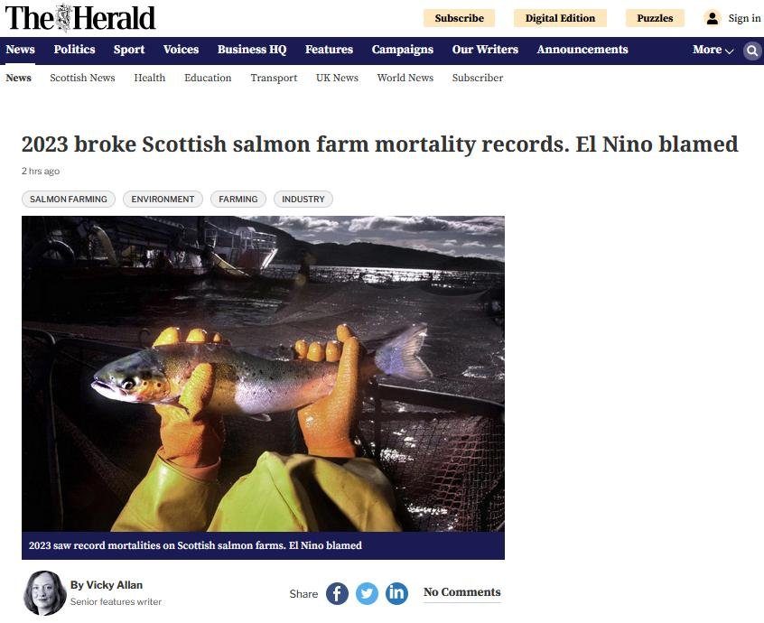 Herald 15 Feb 2024 #1