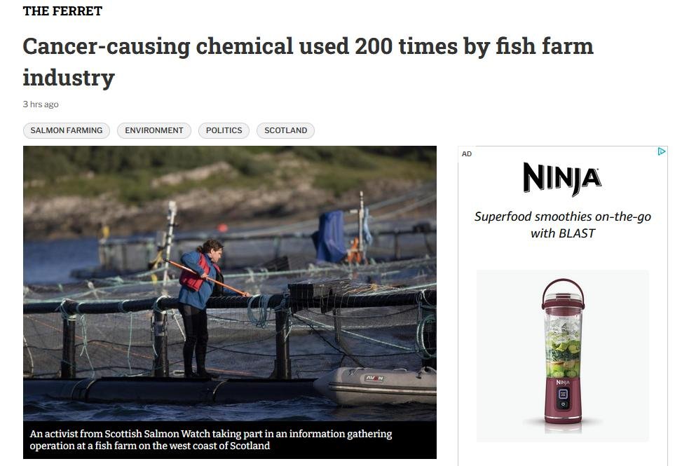 Sunday National 18 Feb 2024 Online