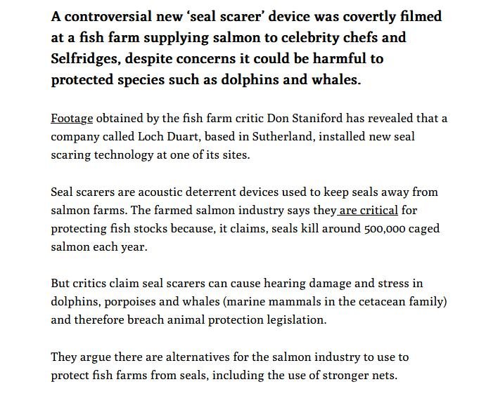 Ferret 11 Jan 2024 #2