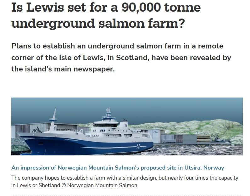 Fish Site 22 Feb 2024 #1 Fish Site 22 Feb 2024 #1