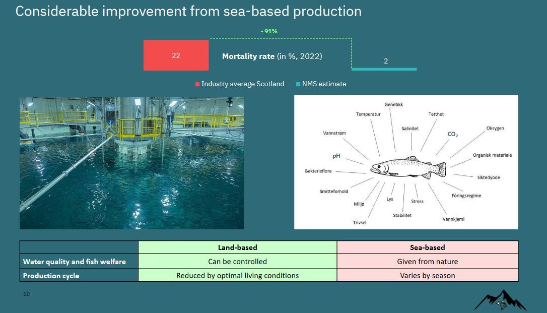 Norwegian Mountain Salmon Lewis Presentation #3