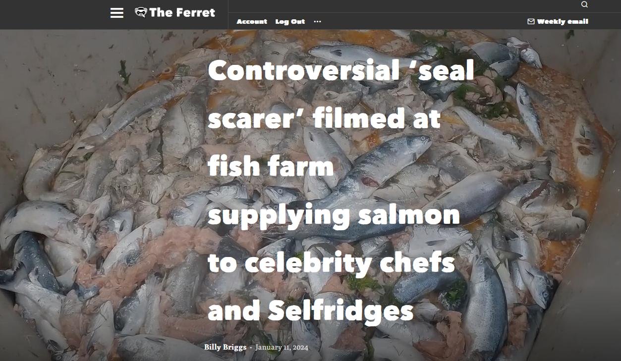 Ferret 11 Jan 2024 #1