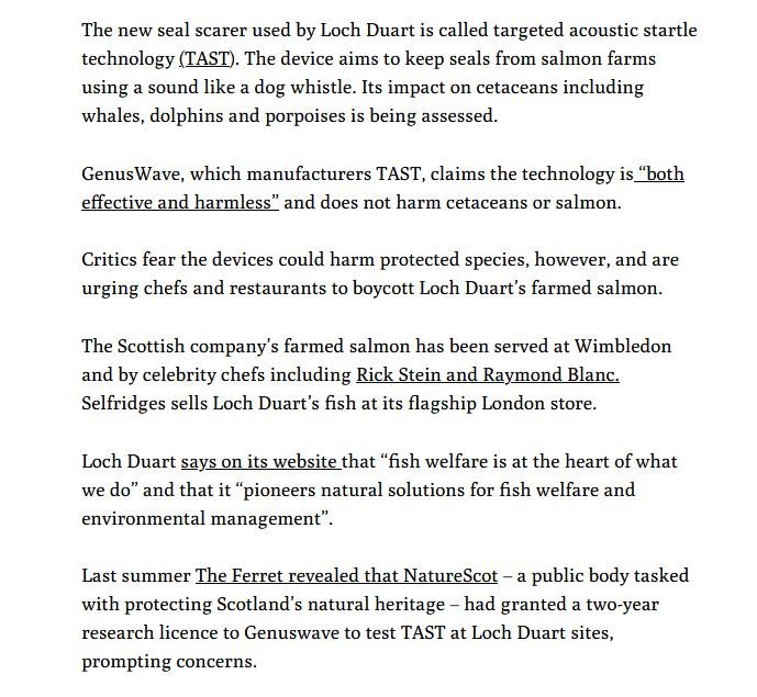 Ferret 11 Jan 2024 #3