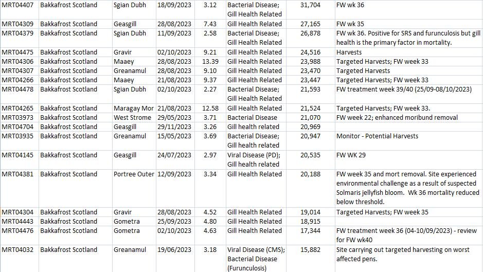 FHI Morts Jan 2024 #5 biggest sea in 2024 FHI Morts Jan 2024 #5 biggest sea in 2024