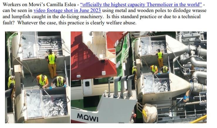 Letter to Scottish Ministers Thermolicer ban cleaner fish 22 January 2024 #2