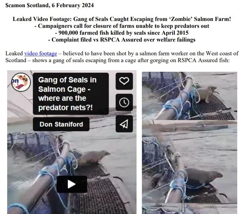 PR Video Gangs of Seals 6 February 2024 #1