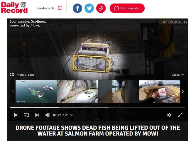 Sunday Mail 11 Feb 2024 Sunday Mail 11 Feb 2024