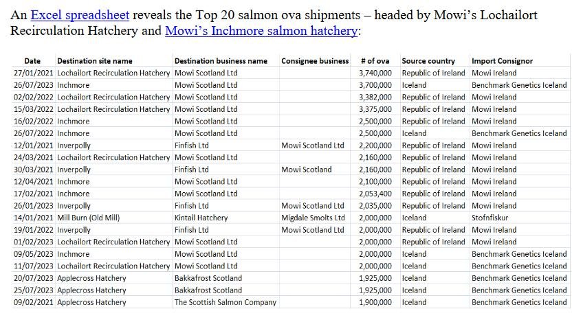 PR Game Ova for 'Scottish' Salmon 19 Feb 2024 #2
