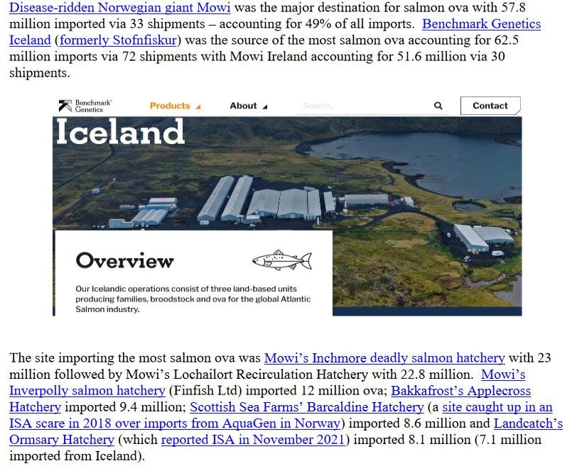 PR Game Ova for 'Scottish' Salmon 19 Feb 2024 #3