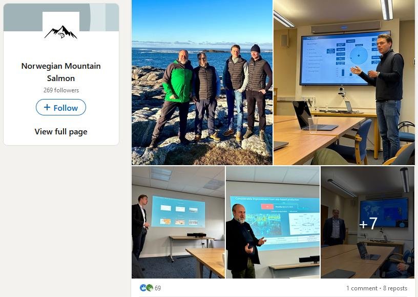 Norwegian Mountain Salmon LinkedIn #2