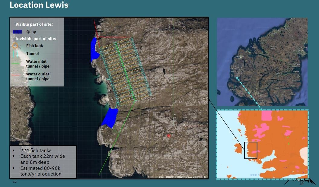 Norwegian Mountain Salmon Lewis Presentation #5