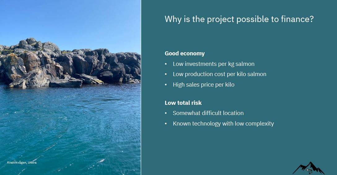 Norwegian Mountain Salmon Lewis Presentation #7