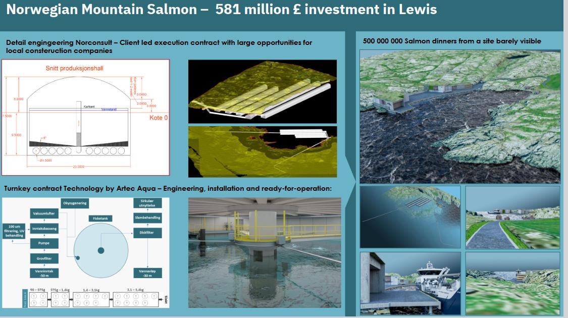 Norwegian Mountain Salmon Lewis Presentation #8