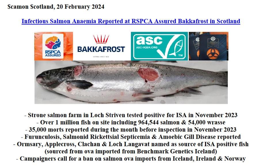 PR ISA at Bakkafrost in Loch Striven 20 February 2024 #1