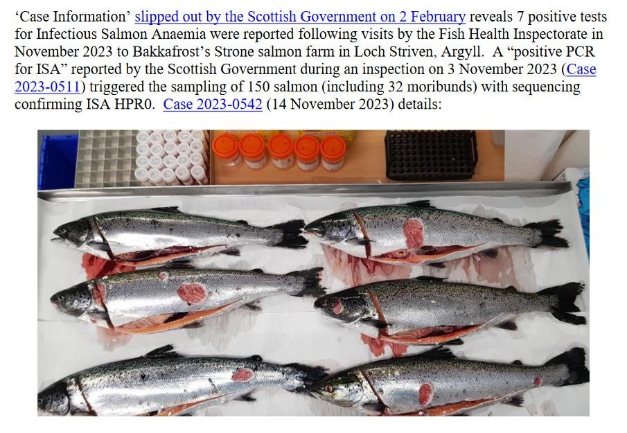 PR ISA at Bakkafrost in Loch Striven 20 February 2024 #2