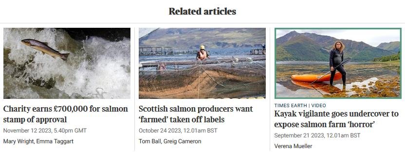 Times 23 Feb 2024 #6