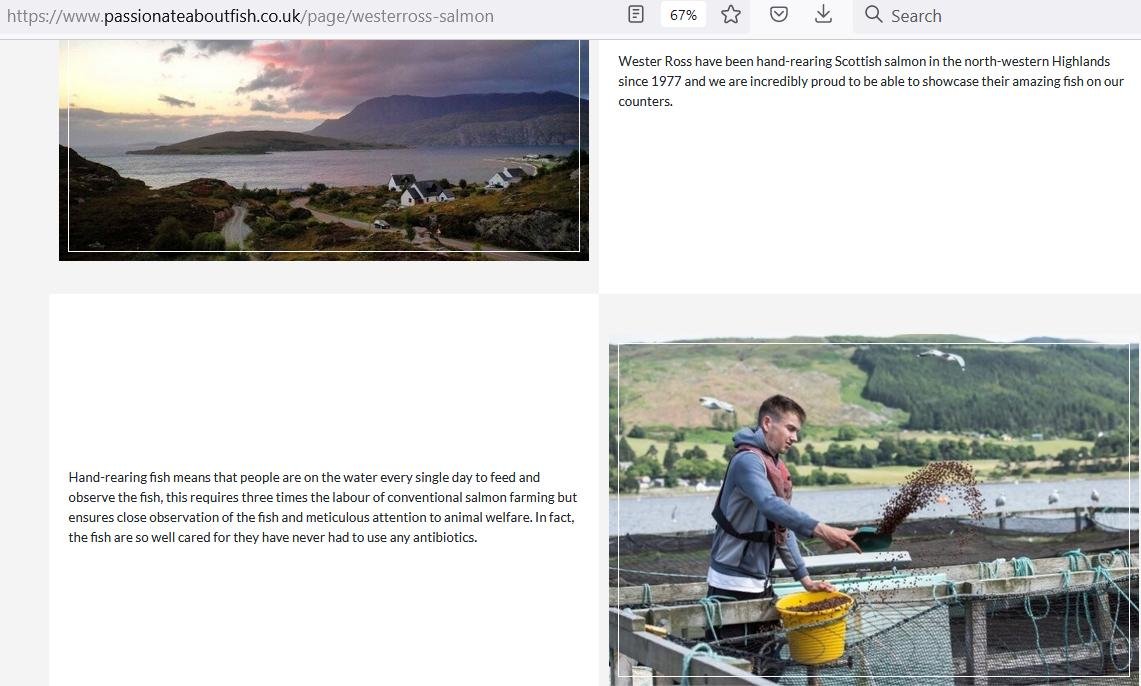 Hand Reared claim #33 Hand Reared claim #33