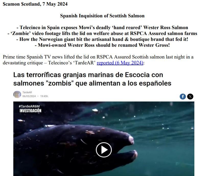 PR Spanish TV exposes Wester Gross Salmon 7 May 2024 #1 PR Spanish TV exposes Wester Gross Salmon 7 May 2024 #1