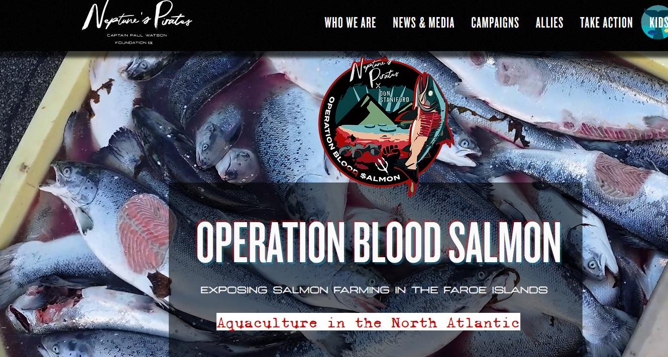 Operation Blood Salmon webpage #1